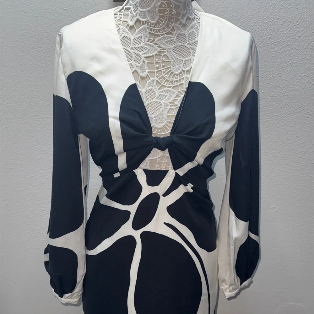 Rafaella Cala de la Cruz Chic Monochrome Long Sleeve Dress - Picture 3 of 11